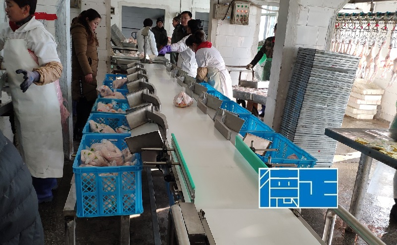 Drum Graders for Food