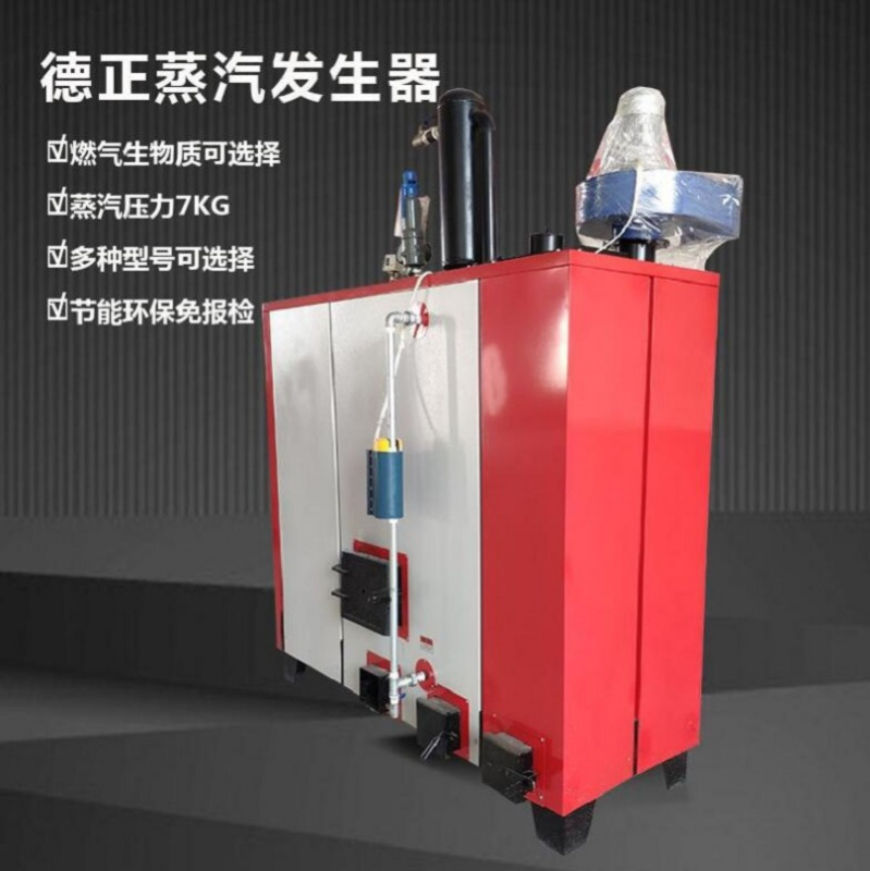 生物質免檢蒸汽發生器 生物質免檢蒸汽發生器